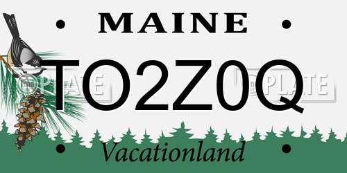 TO2Z0Q Maine License Plate