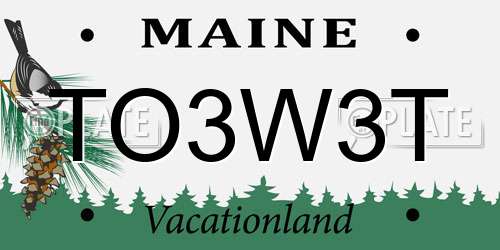 TO3W3T Maine License Plate