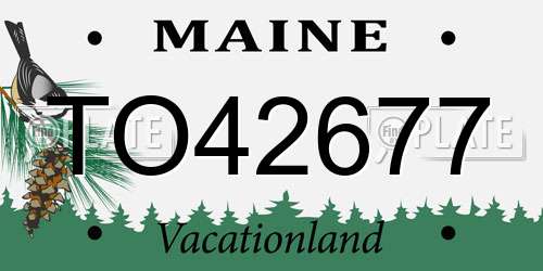 TO42677 Maine License Plate