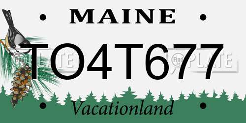 TO4T677 Maine License Plate
