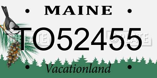 TO52455 Maine License Plate