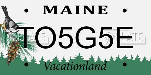 TO5G5E Maine License Plate