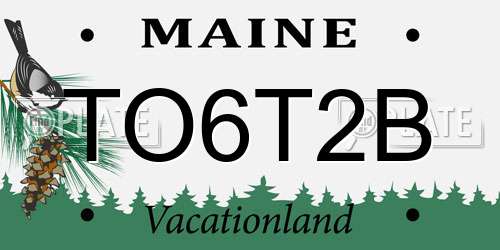TO6T2B Maine License Plate