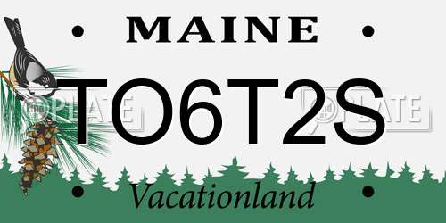 TO6T2S Maine License Plate