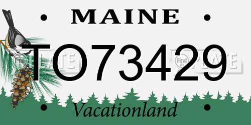 TO73429 Maine License Plate