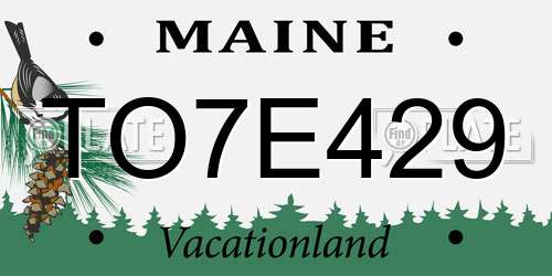 TO7E429 Maine License Plate