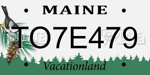 TO7E479 Maine License Plate