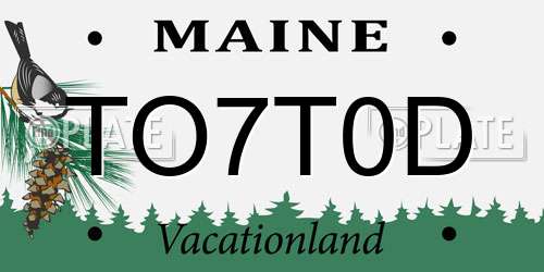 TO7T0D Maine License Plate