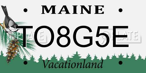 TO8G5E Maine License Plate