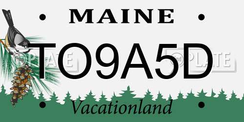 TO9A5D Maine License Plate