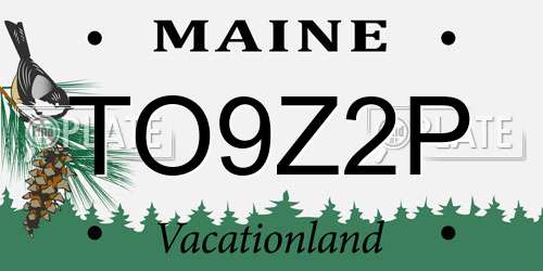 TO9Z2P Maine License Plate