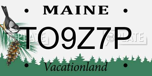 TO9Z7P Maine License Plate