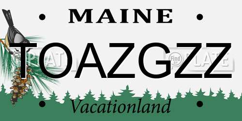 TOAZGZZ Maine License Plate