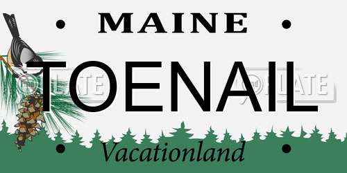 TOENAIL Maine License Plate