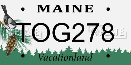 TOG278 Maine License Plate