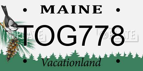TOG778 Maine License Plate