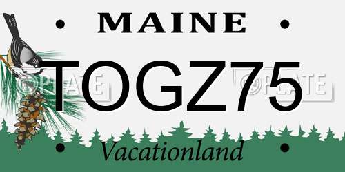 TOGZ75 Maine License Plate