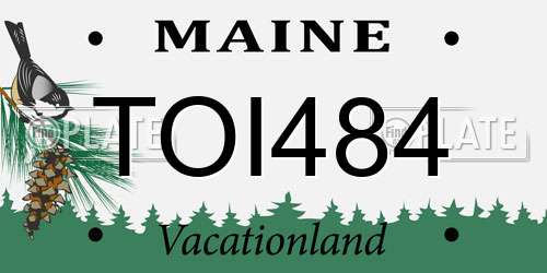 TOI484 Maine License Plate