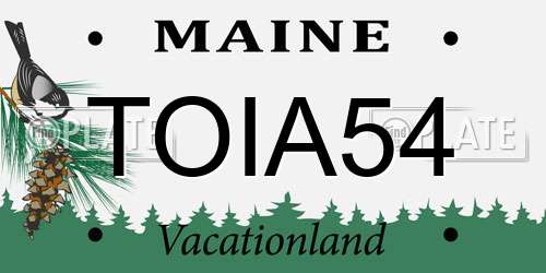 TOIA54 Maine License Plate