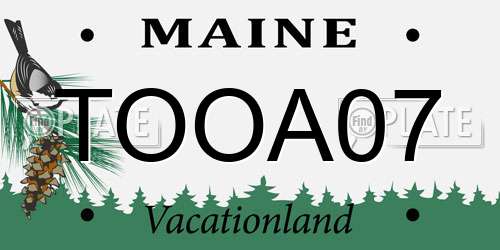 TOOA07 Maine License Plate