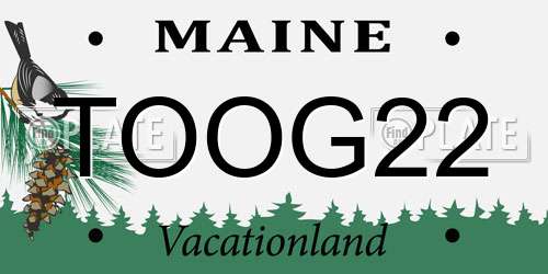TOOG22 Maine License Plate