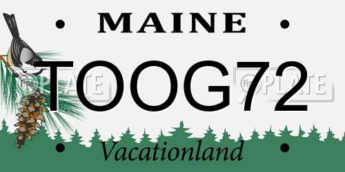 TOOG72 Maine License Plate