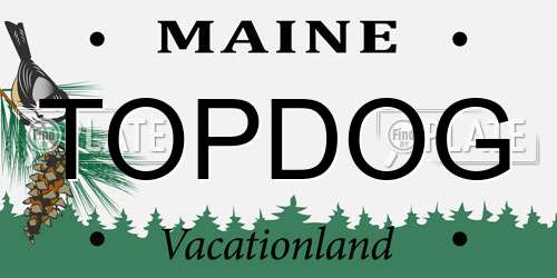 TOPDOG Maine License Plate