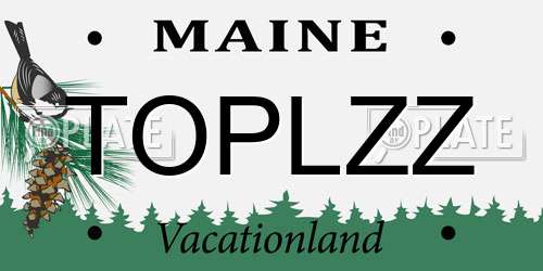 TOPLZZ Maine License Plate