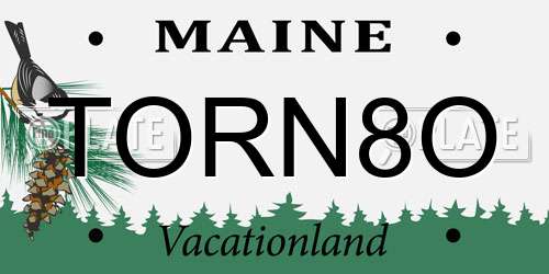 TORN8O Maine License Plate