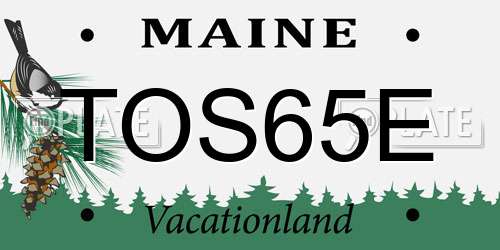 TOS65E Maine License Plate