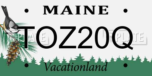 TOZ20Q Maine License Plate