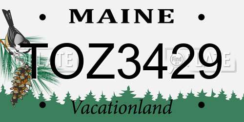 TOZ3429 Maine License Plate
