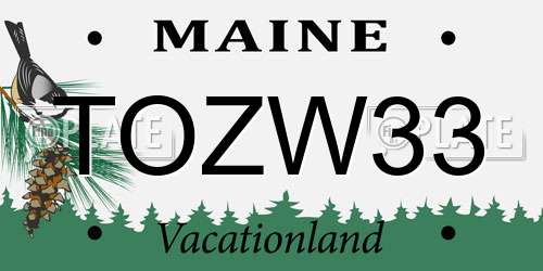 TOZW33 Maine License Plate