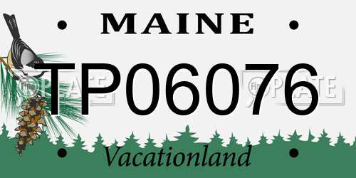 TP06076 Maine License Plate