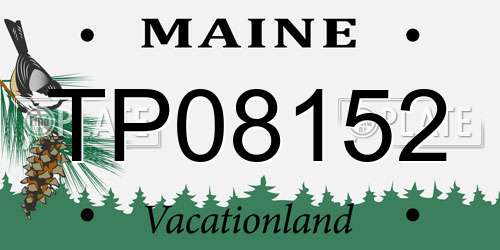 TP08152 Maine License Plate