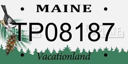 TP08187 Maine License Plate