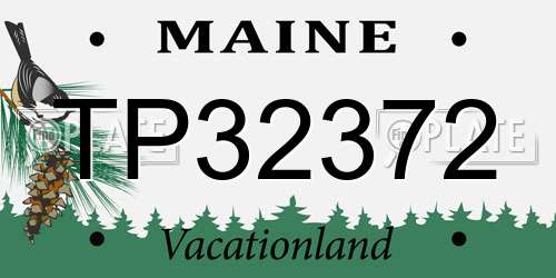 TP32372 Maine License Plate