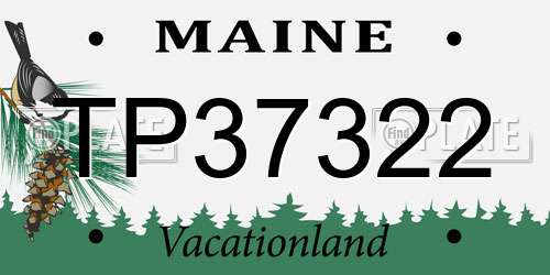 TP37322 Maine License Plate