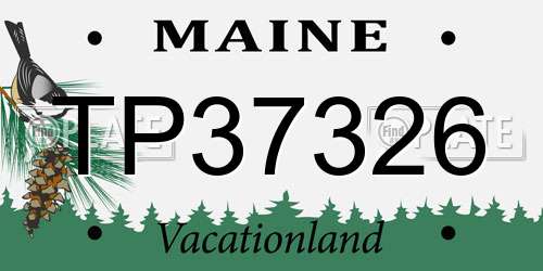 TP37326 Maine License Plate