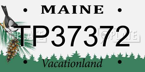 TP37372 Maine License Plate