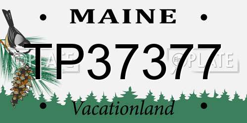 TP37377 Maine License Plate
