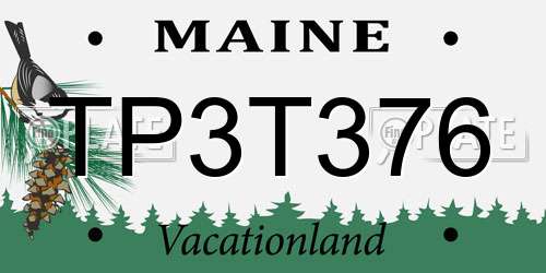 TP3T376 Maine License Plate