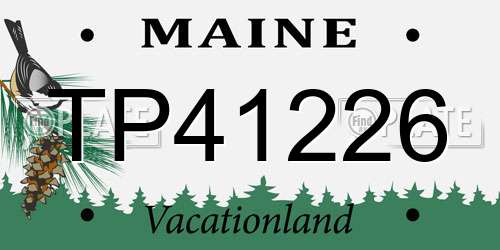 TP41226 Maine License Plate