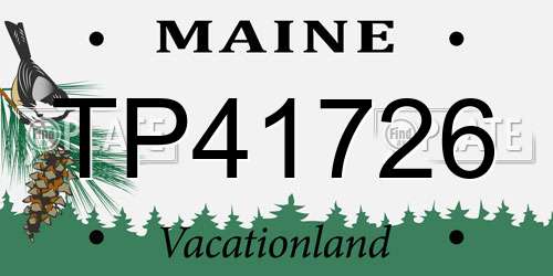 TP41726 Maine License Plate
