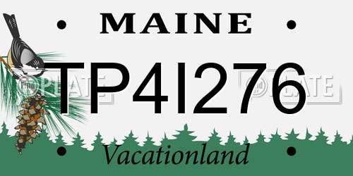 TP4I276 Maine License Plate