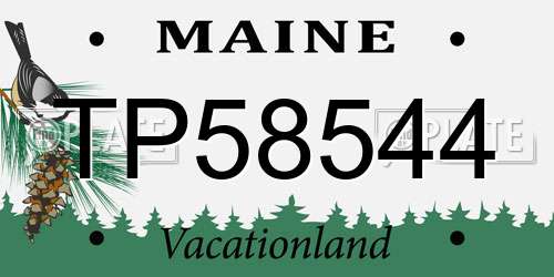TP58544 Maine License Plate