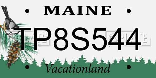 TP8S544 Maine License Plate