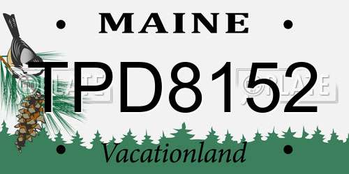 TPD8152 Maine License Plate