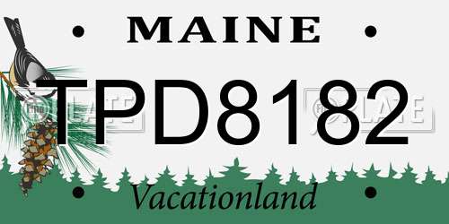 TPD8182 Maine License Plate