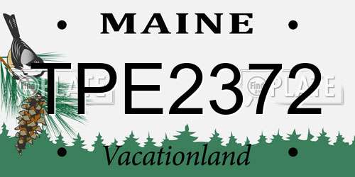 TPE2372 Maine License Plate